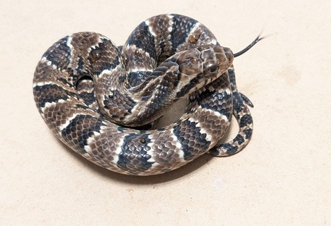 PXL_20250920_070856808~2