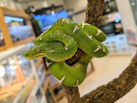 PXL_20241224_110328614~2