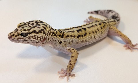 PXL_20251218_100648046~2