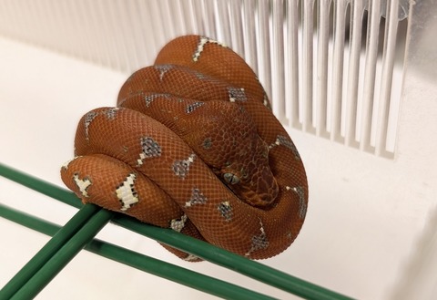 PXL_20260101_105641201~2