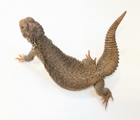 PXL_20250505_110047972~2