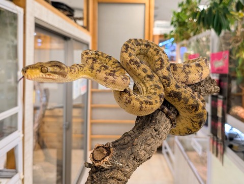 PXL_20241224_111721216~2