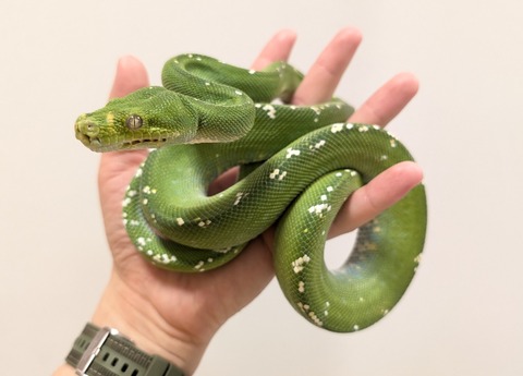 PXL_20250920_111105794~2