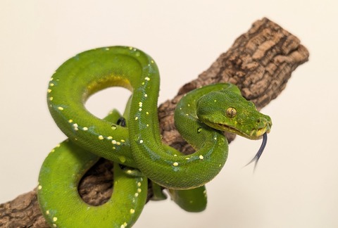 PXL_20251113_095632098~2