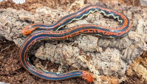 PXL_20251114_093039586~2