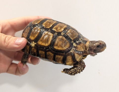 PXL_20260204_080132821~2