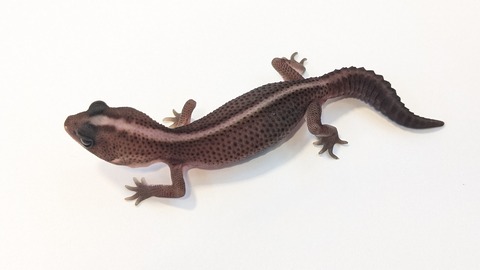 PXL_20250919_115513983~2