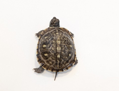 PXL_20251103_100800171~2