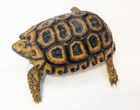 PXL_20250502_103324286~2