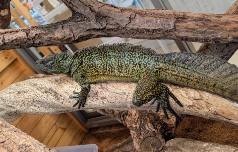 PXL_20250601_074818585~2