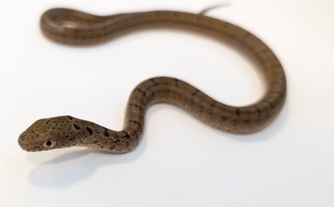 PXL_20251027_103128587~2