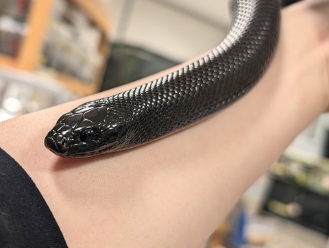 PXL_20241218_113418174~2