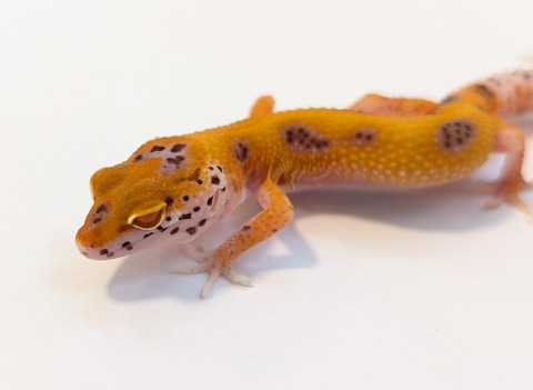 PXL_20250715_095616102~2