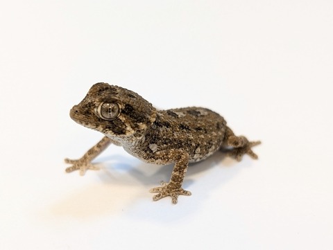 PXL_20250318_085803344~2