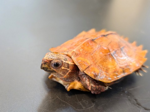 PXL_20250106_095422853