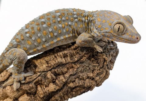 PXL_20251104_110543556~2