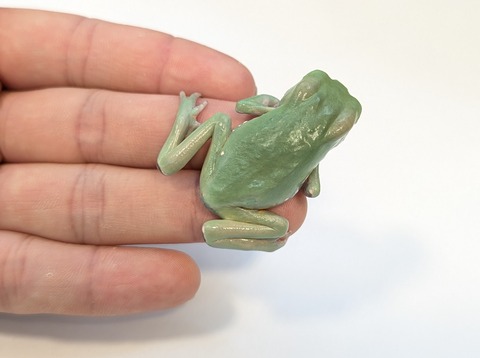 PXL_20251104_105657247~2