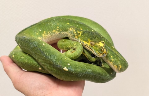 PXL_20250920_110316230~2