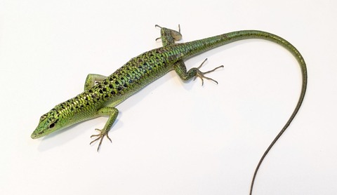 PXL_20250820_111941956~2