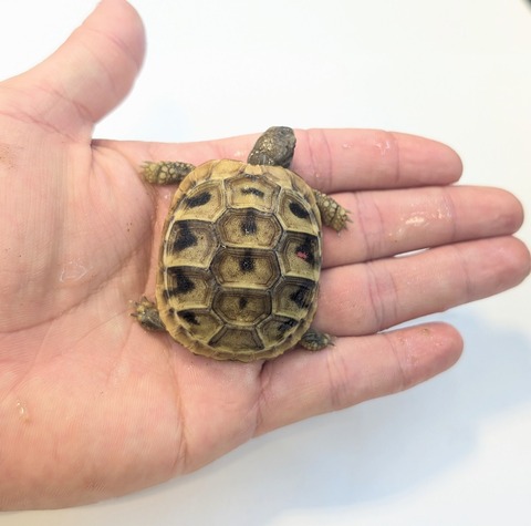 PXL_20251105_061636653~2