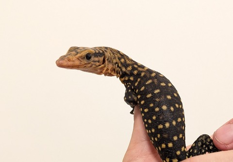 PXL_20251202_100734652~2