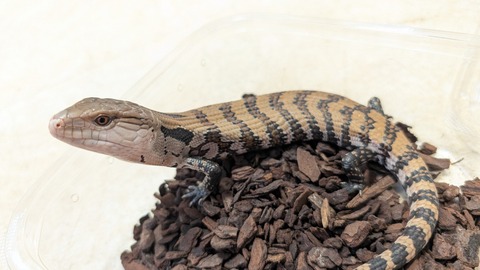 PXL_20251219_030906781