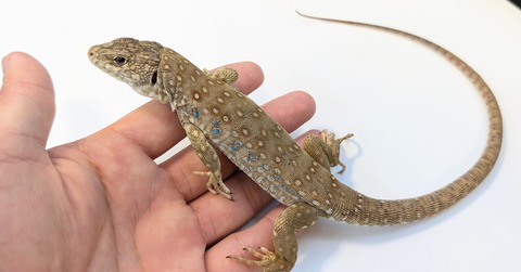 PXL_20250906_095804890~2