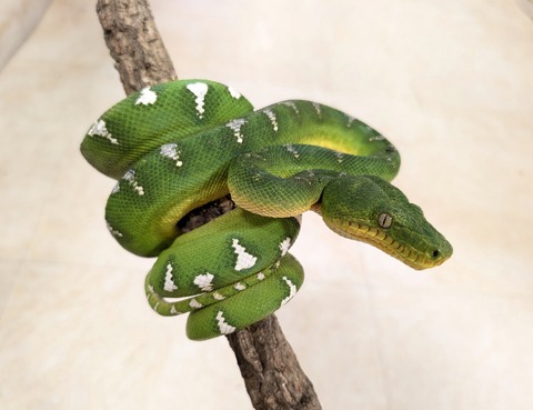 PXL_20250620_130101366~2