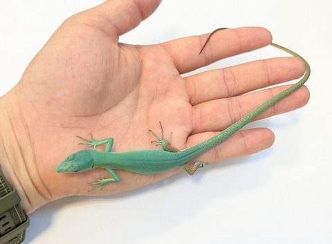 PXL_20250424_085608820~2