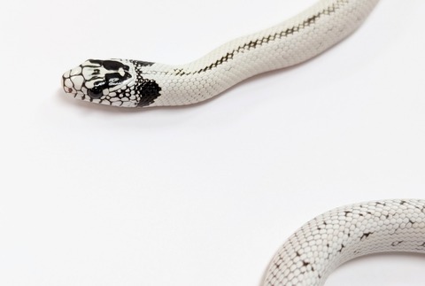 PXL_20250415_070155106~3