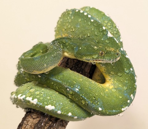 PXL_20251120_071131637~2