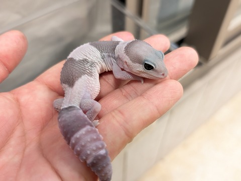 PXL_20250208_073245256