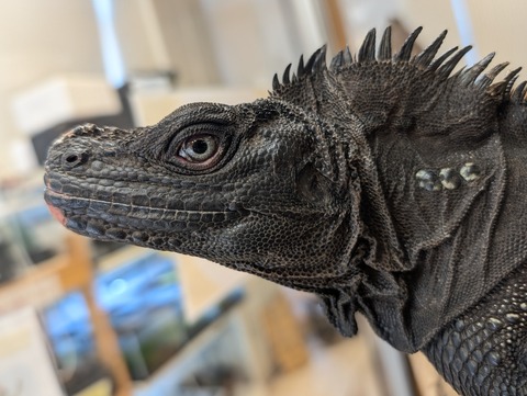 PXL_20250601_064708088