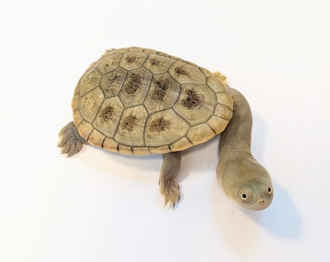 PXL_20250424_090019548~2