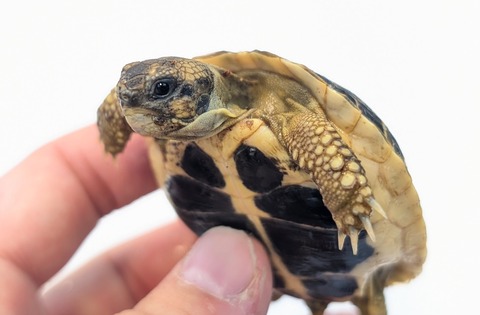 PXL_20251105_055859901~2