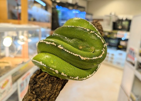 PXL_20241224_111157491~2