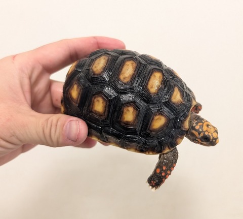 PXL_20260204_093757423~2