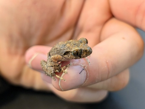 PXL_20250106_102755593~2