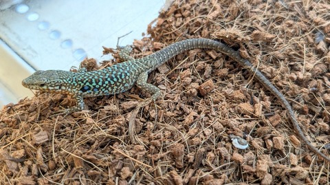 PXL_20250919_070658095~2