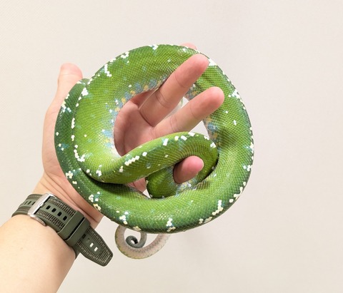 PXL_20250920_110553992~2