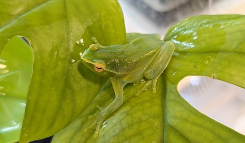 PXL_20250919_120859352~2