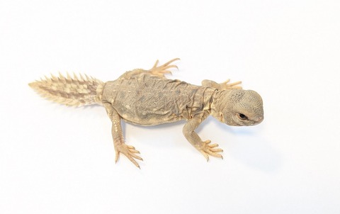 PXL_20250920_100246170~2