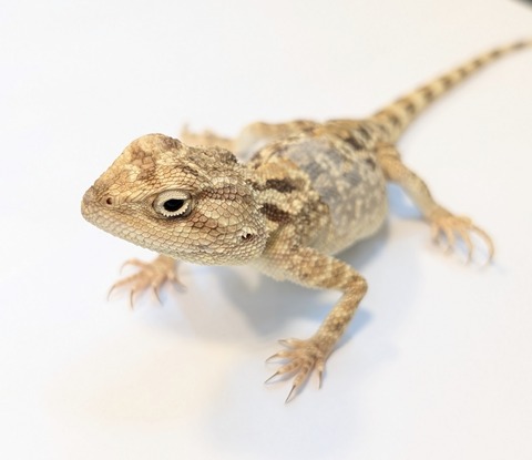 PXL_20250504_110319827~2