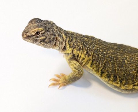 PXL_20250715_094342311~2