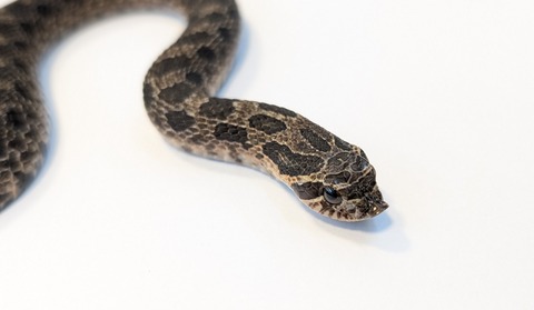 PXL_20250920_100643157~2