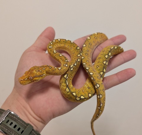 PXL_20251210_062306504