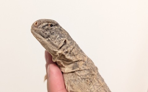 PXL_20250920_095720902~2