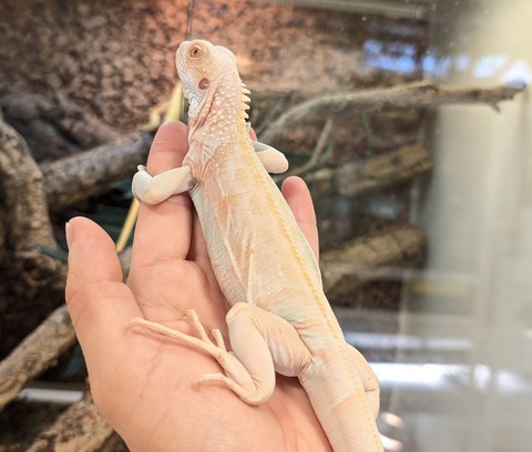 PXL_20250919_070414188~2