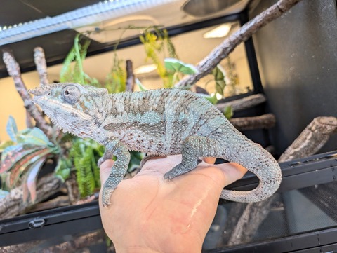 PXL_20250304_041846821~2