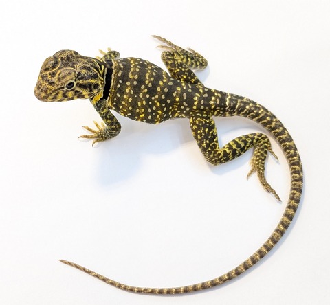 PXL_20250623_103515768~2